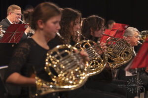 Photo de l'Harmonie de la ville d'Héricourt- Haute-Saône Photo de concert prise par IMAGES et EMOTIONS Véronique Photographe Evènements, Concert Spectacle